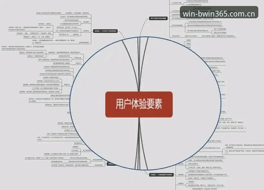 3个关键维度解析必赢亚洲官网：从入口选择到深度体验的完整指南