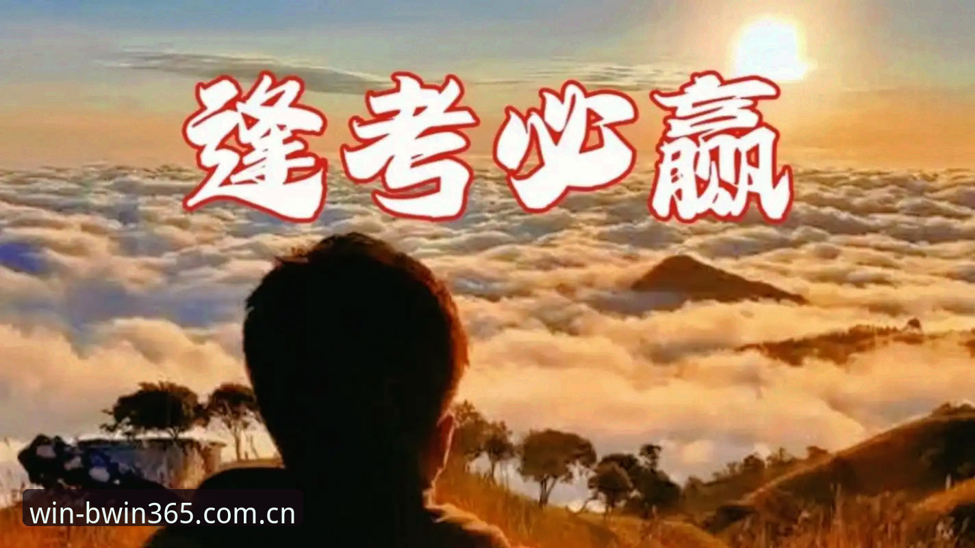 BWIN必赢平台注册使用指南：从入口选择到实战操作的全面解析